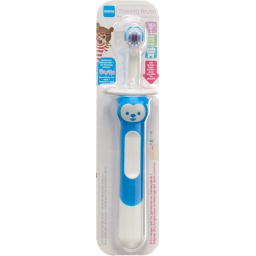 Mam Training Brush Zahnbürste 5+m Neu buy online