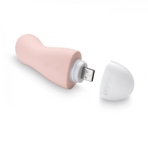 Ceylor Secret Lover Mini Vibrator buy online
