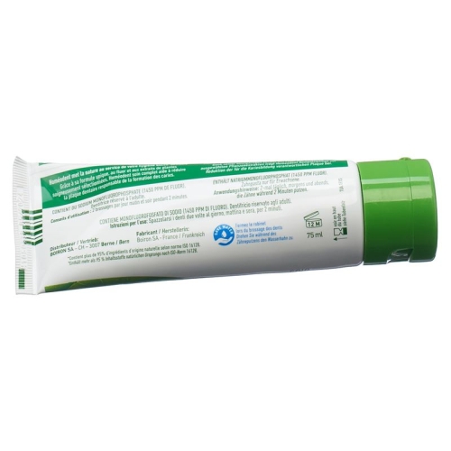 Homeodent Zahn Zahnfleischpflege Chlorophyll 75ml buy online