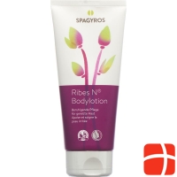 Spagyros Ribes N Bodylotion Tube 200ml