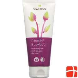 Spagyros Ribes N Bodylotion Tube 200ml