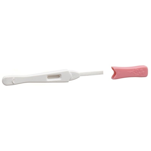 Ind Hcg Midstream Pregnancy Test Mini buy online