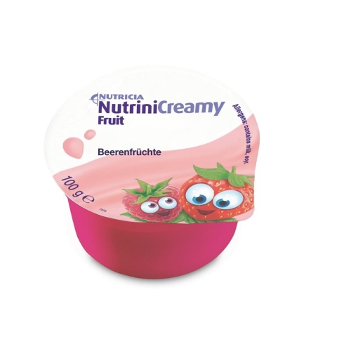 Nutrini Creamy Fruit Beerenfrüchte 4x 100g buy online