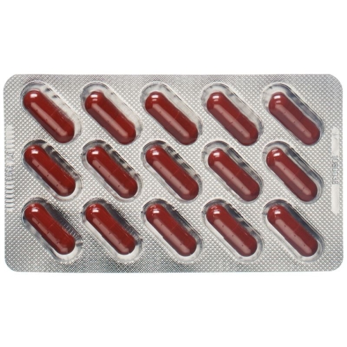 Dr. Dünner Essenzavita Artichoke and Choline Capsules 30 pieces buy online