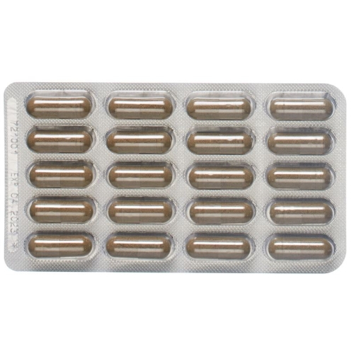 Padma Venaben Capsules Blister 60 Piece buy online