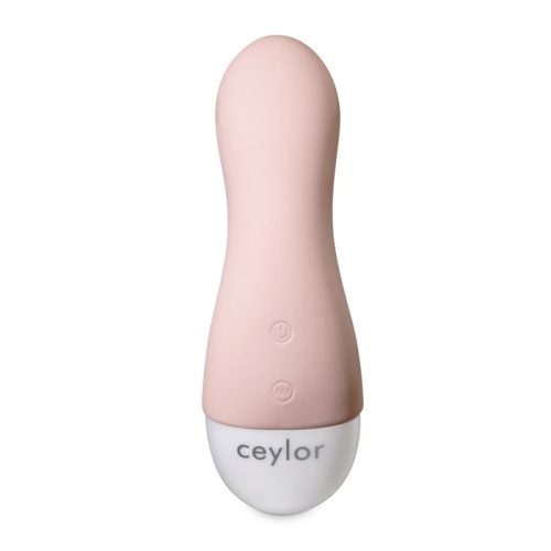 Ceylor Secret Lover Mini Vibrator buy online