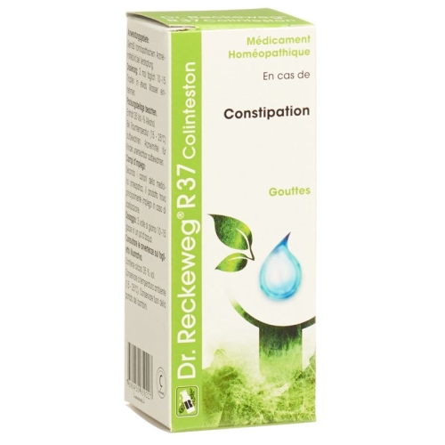 Reckeweg R37 Colinteston Tropfen Flasche 50ml buy online