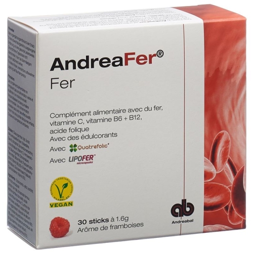 Andreafer Iron Sticks 30 pieces buy online