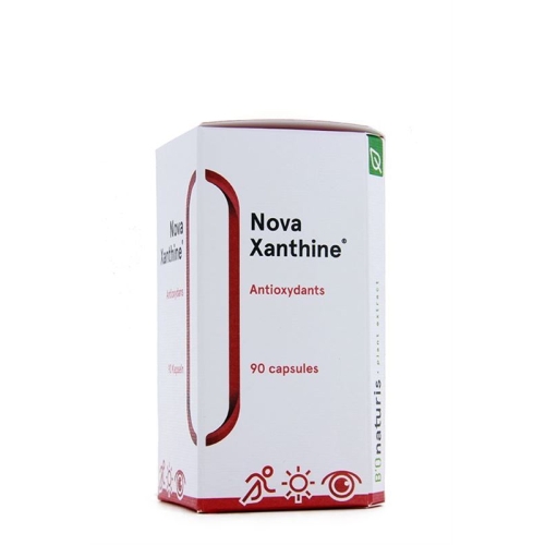 Bionaturis Novaxanthine Astaxanthin Kapseln 4mg Dose 90 Stück buy online