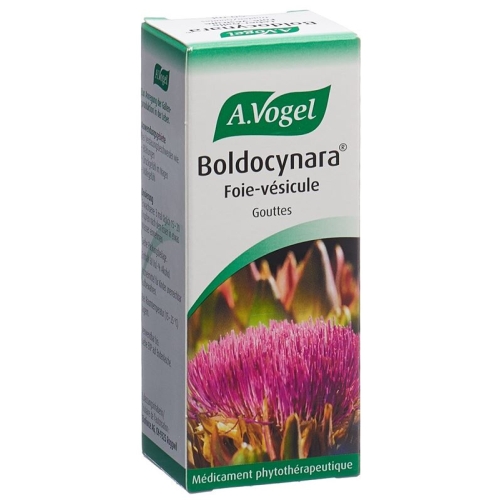 Vogel Boldocynara Leber-Galle Tropfen Flasche 50ml buy online