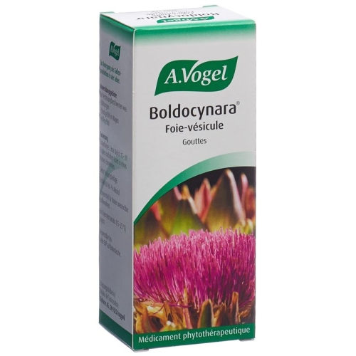 Vogel Boldocynara Leber-Galle Tropfen Flasche 100ml buy online