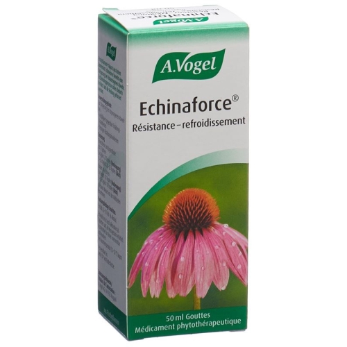 Vogel Echinaforce Resistenz-Erkältung Tropfen 50ml buy online