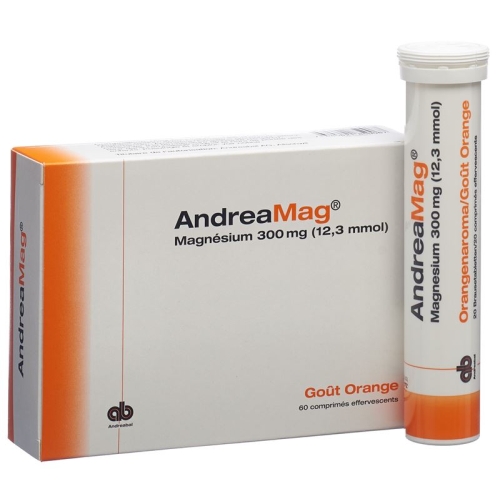 Andreamag Brausetabl 300 mg Orange flavor 60 pcs