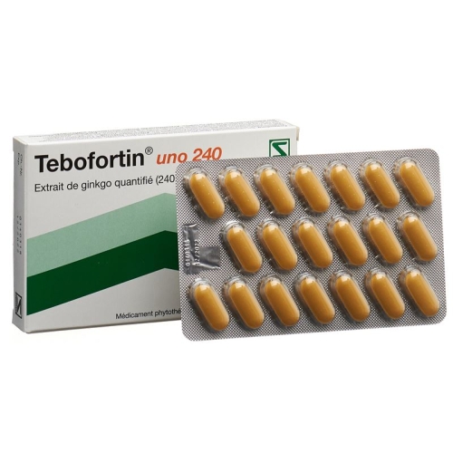 Tebofortin Uno 240 Filmtabletten 240mg 40 Stück buy online