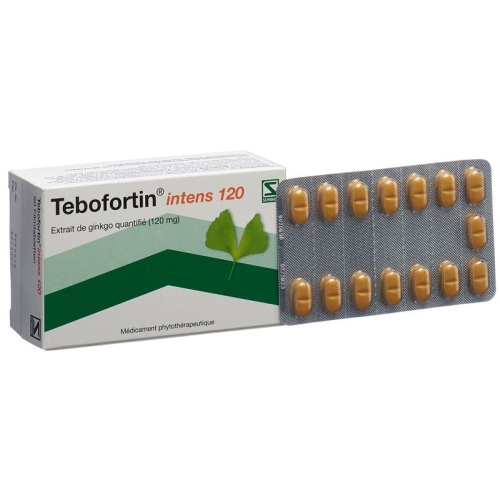 Tebofortin Intens 120 Filmtabletten 120mg 90 Stück buy online