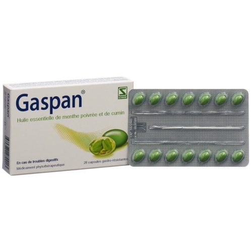 Gaspan Kapseln Magensaftresistent 28 Stück buy online