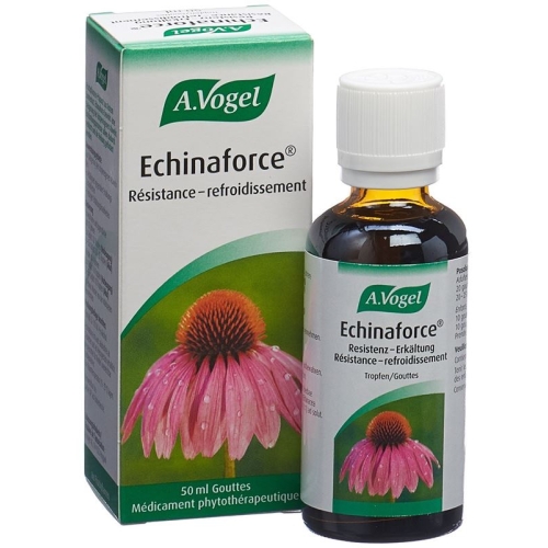 Vogel Echinaforce Resistenz-Erkältung Tropfen 50ml buy online