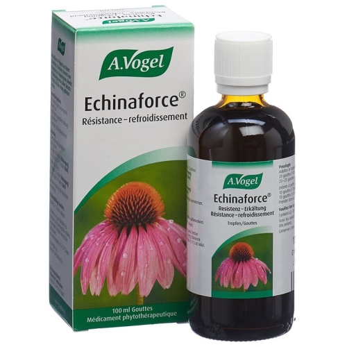 Vogel Echinaforce Resistenz-Erkältung Tropfen 100ml buy online