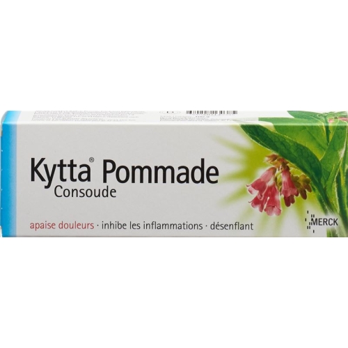 Kytta Salbe 100g buy online