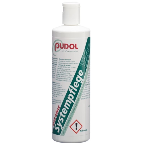 Pudol Systempflege Geruchlos 400g buy online