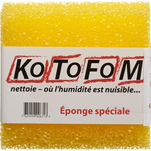 Kotofom Schwamm Gr II buy online