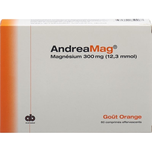 Andreamag Brausetabl 300 mg Orange flavor 60 pcs