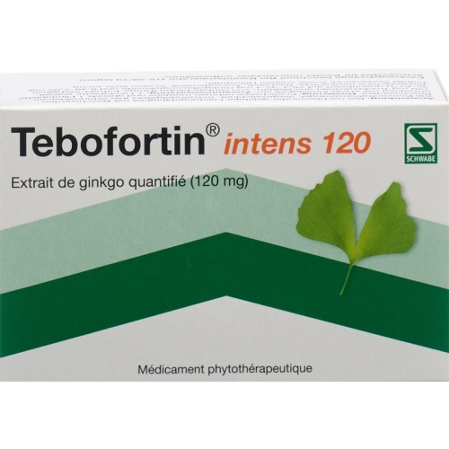 Tebofortin Intens 120 Filmtabletten 120mg 90 Stück buy online