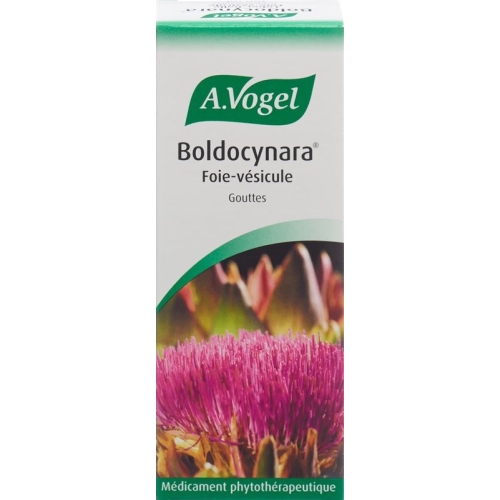 Vogel Boldocynara Leber-Galle Tropfen Flasche 100ml buy online