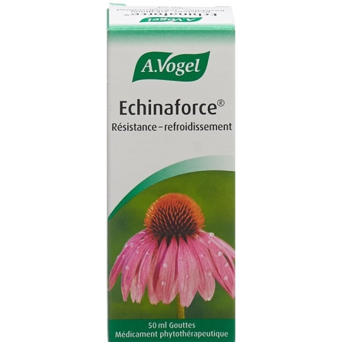 Vogel Echinaforce Resistenz-Erkältung Tropfen 50ml buy online