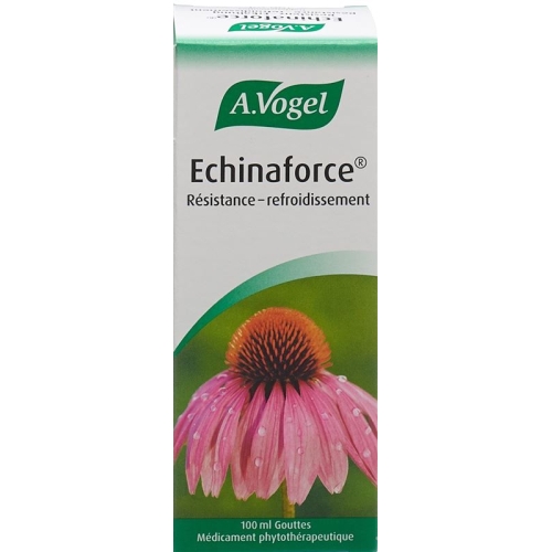 Vogel Echinaforce Resistenz-Erkältung Tropfen 100ml buy online