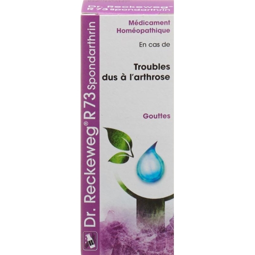 Reckeweg R73 Spondarthrin Tropfen Flasche 50ml buy online