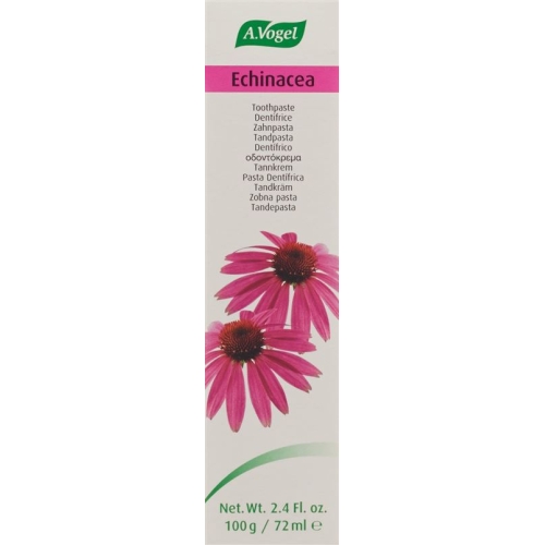 A. Vogel Zahnpasta Echinacea 100g buy online