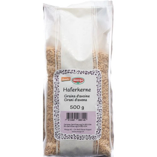 Holle Haferkernen Demeter 500g buy online