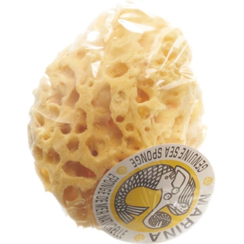 Marina natural sponge Venise 14cm buy online