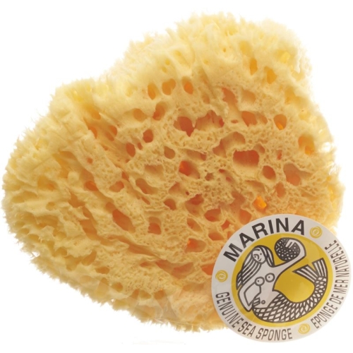 Marina natural sponge Venise 20cm buy online