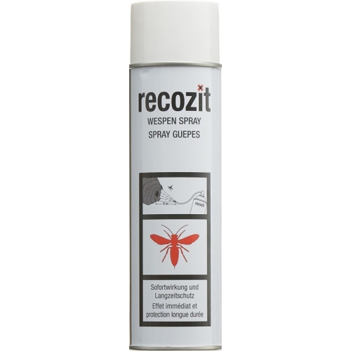 Recozit Wespen Spray 500ml buy online