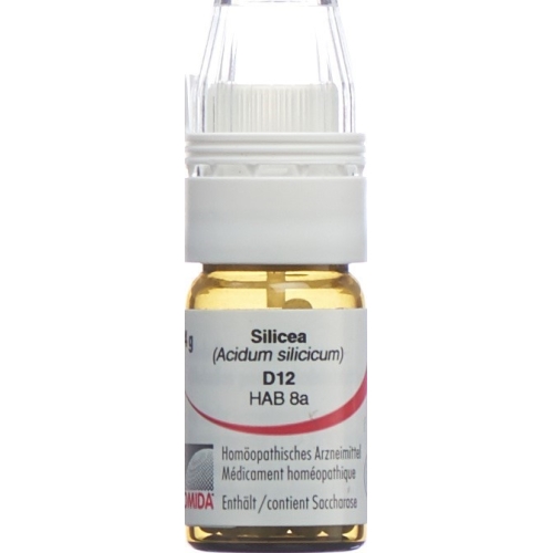 Omida Silicea Globuli D 12 Dosierhilfe 4g buy online