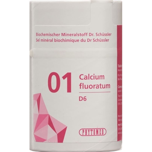 Phytomed Schüssler Nr. 1 Calc Fluor Tabletten D 6 100g buy online