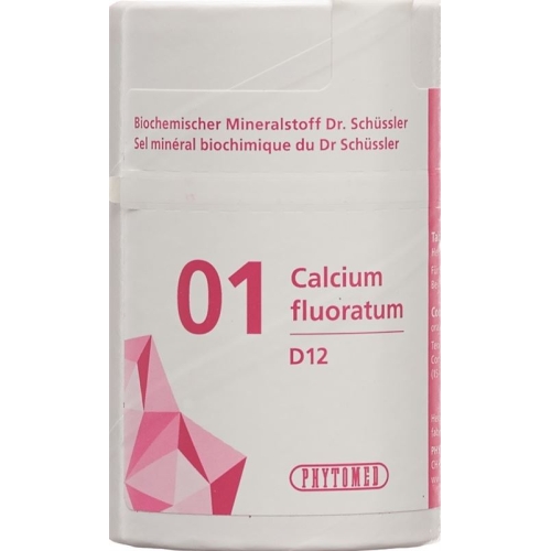 Phytomed Schüssler Nr. 1 Calc Fluor Tabletten D 12 100g buy online