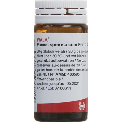 Wala Prunus Spinosa Ferm C Ferro Globuli D 3 Flasche 20g buy online