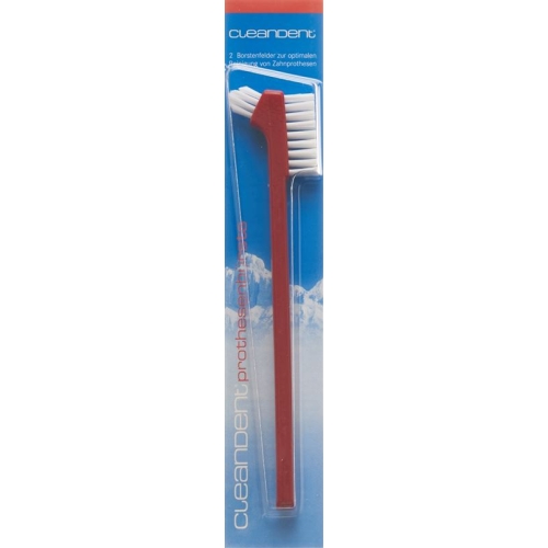 Cleandent denture brush buy online