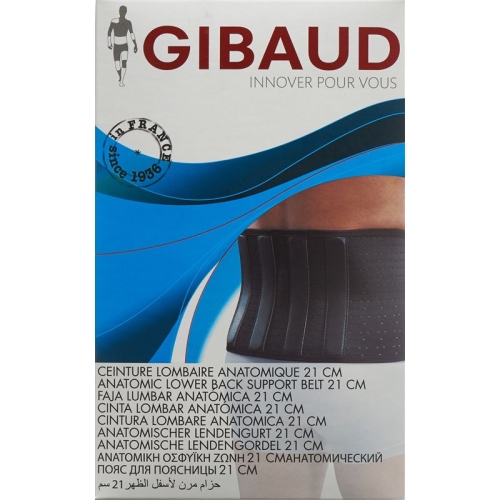 Gibaud Action V Lendenstützgurt Grösse 3 100-110cm Sch buy online