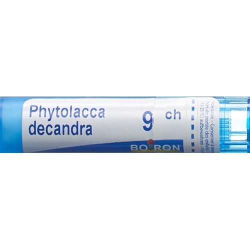 Boiron Phytolacca decandra Gran C 9 4 g buy online