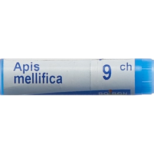 Apis mellifera Boiron Glob C 9 1 Dos