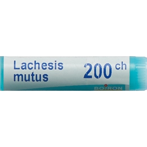 Boiron Lachesis mutus Glob 200C 1 dose buy online