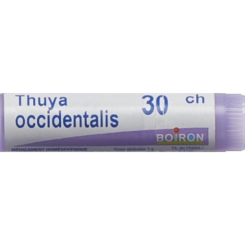 Boiron Thuya Occidentalis Globuli C 30 1 Dos buy online