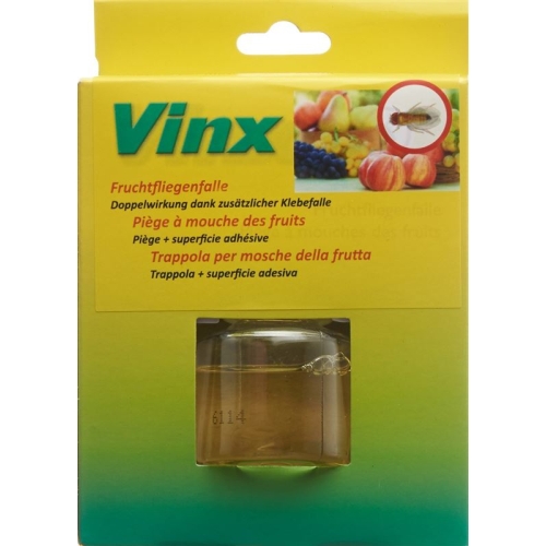 Vinx fruit fly trap with adhesive strips buy online