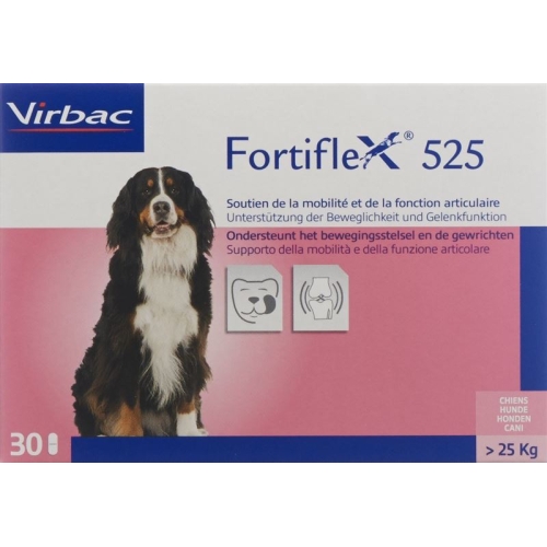 Fortiflex Tabletten 525mg Blister 30 Stück buy online