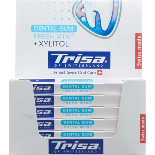 Trisa Display Dentalkaugummi Fresh Mint 12 Stück buy online