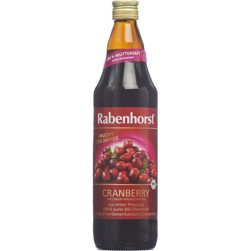 Rabenhorst Cranberry Muttersaft Bio Flasche 750ml buy online